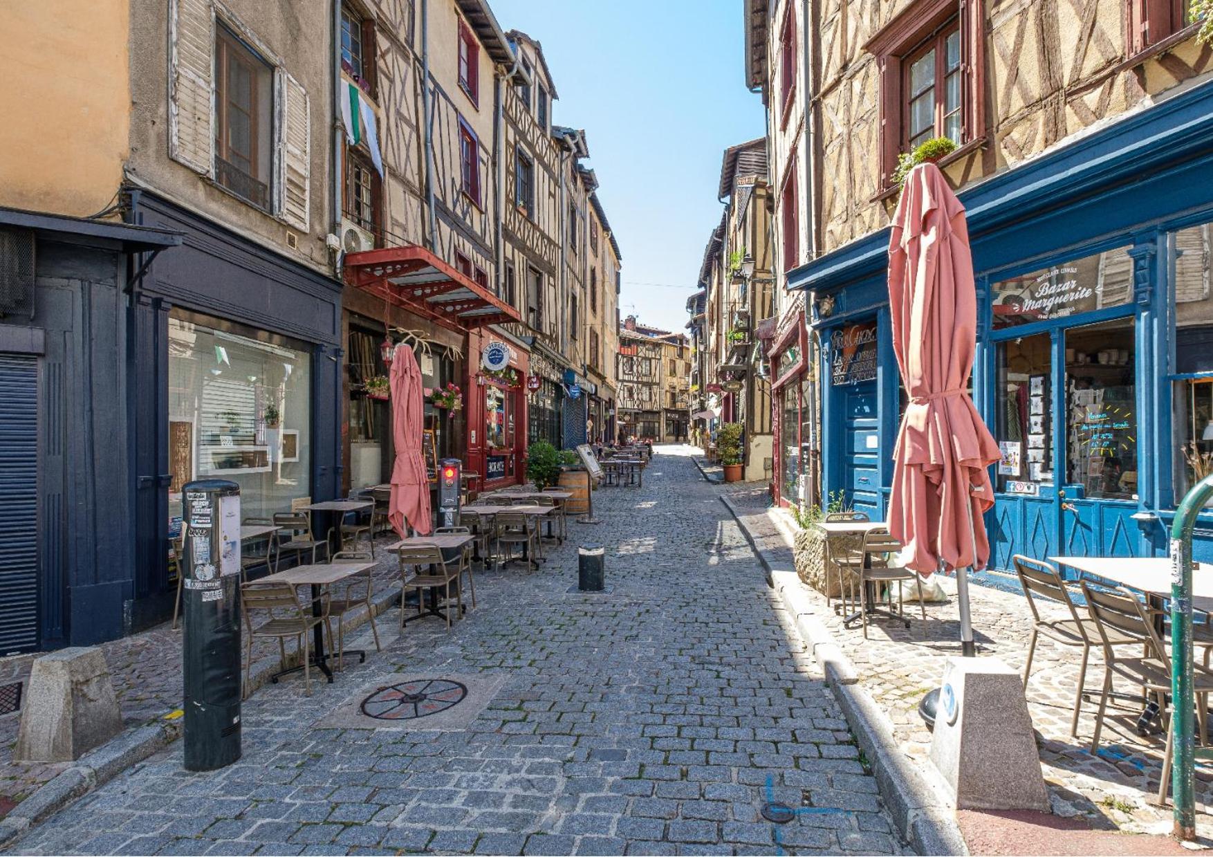 Bienvenu Chez Zazou Lägenhet Limoges Exteriör bild